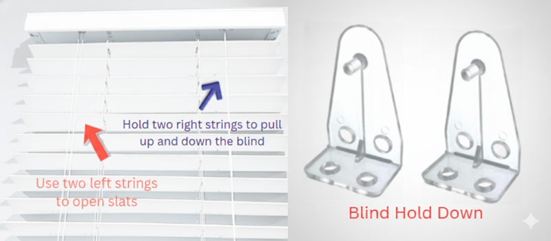 Venetian Blind